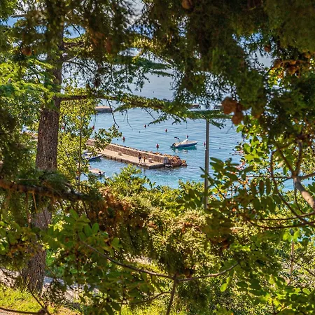 Apartamento In 41528 *